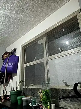 francesca baker1007 online show from March 2025 12:05:01 AM