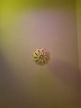 Snapshot of cuci45 chatting on October 2025 06:28:02 PM cuci45 online show from October 2025 06:28:02 PM