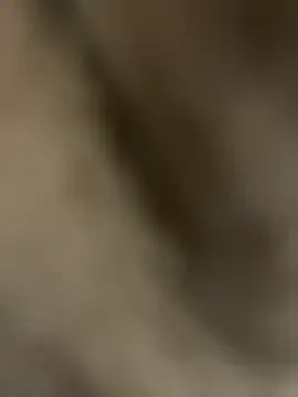 Pascutt online show from September 2025 10:04:02 PM