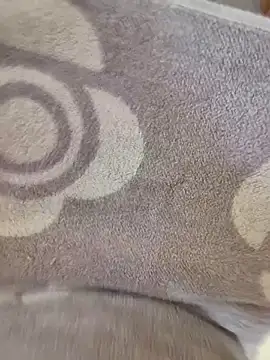 cuminpussyalot online show from March 2026 01:26:01 PM