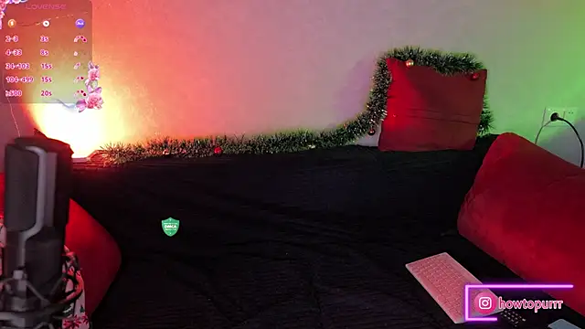 How2Meow online show from December 2024 05:23:02 PM