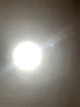 gabiTetas online show from December 2024 11:11:02 AM