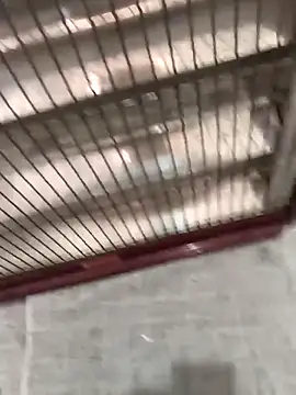 mustican422 online show from October 2025 11:07:01 AM