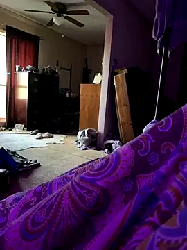 Themechanic420 online show from December 2024 03:44:02 PM