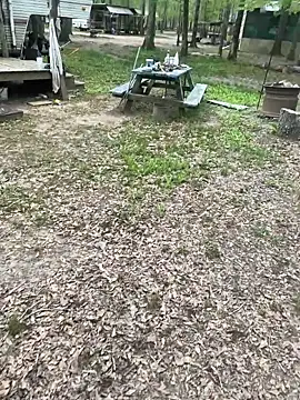 Themechanic420 online show from April 2026 02:58:02 PM