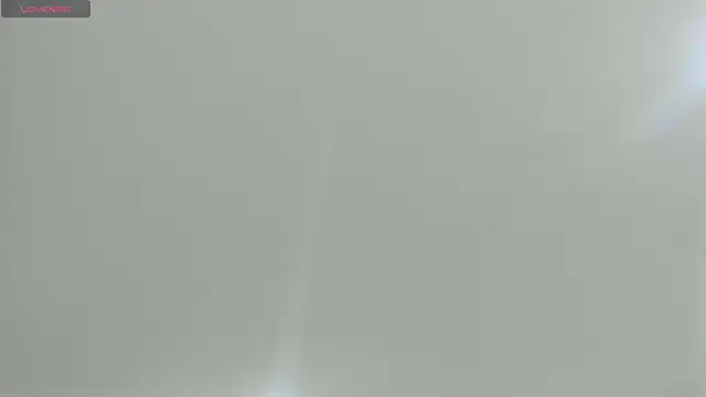 natasha logan  online show from February 2025 04:07:01 AM