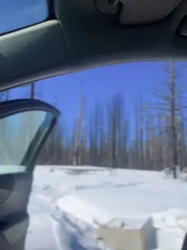 GoldenFlameGoddess online show from March 2025 07:54:01 PM