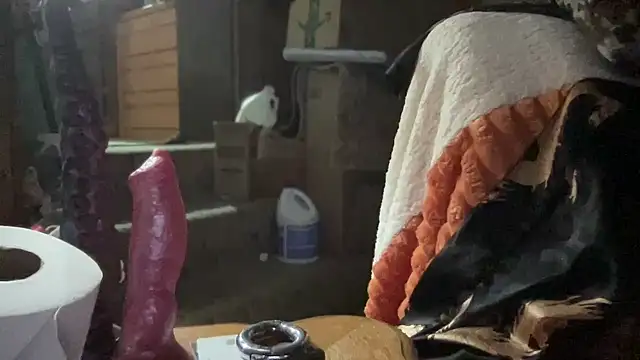 44jon44 online show from November 2025 03:40:01 AM