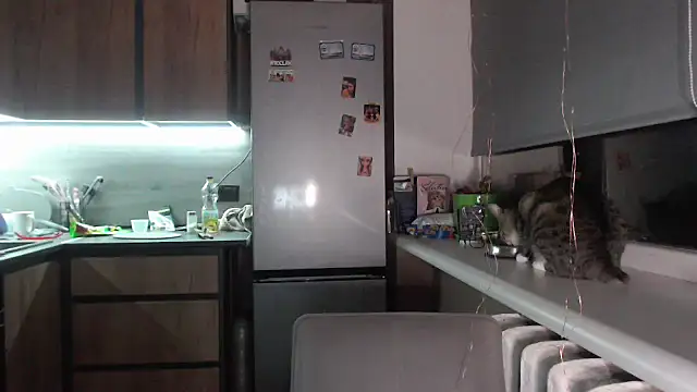 delightful sofi online show from September 2025 07:19:02 PM