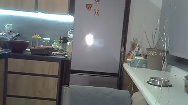 delightful sofi online show from November 2025 07:56:02 PM