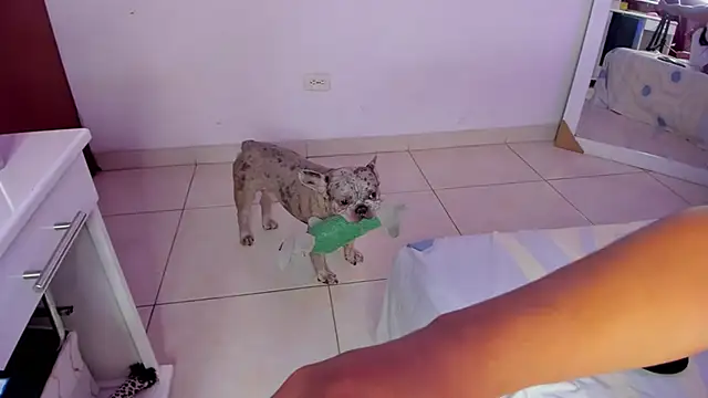 Snapshot of SophiieWilson_ chatting on October 2025 03:43:01 AM SophiieWilson online show from October 2025 03:43:01 AM