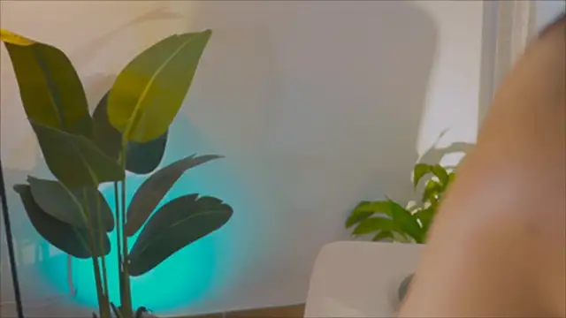 anabelcurvy online show from February 2025 04:03:01 PM