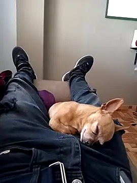 Snapshot of Jeanka18z chatting on October 2025 05:33:02 PM Jeanka18z online show from October 2025 05:33:02 PM