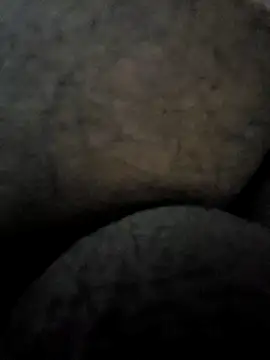 Snapshot of Mallupaiyanaachu chatting on February 2025 04:31:01 PM Mallupaiyanaachu online show from February 2025 04:31:01 PM