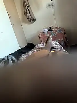 Snapshot of Mallupaiyanaachu chatting on February 2025 02:08:02 AM Mallupaiyanaachu online show from February 2025 02:08:02 AM