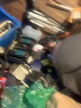 Likewise online show from February 2026 06:28:02 PM