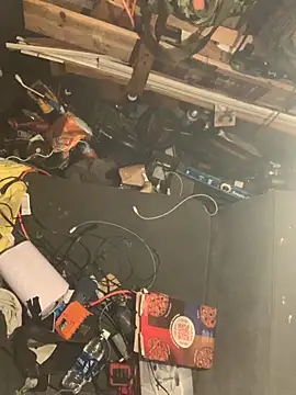 Likewise online show from March 2026 03:38:01 PM