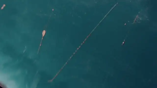 CharlotteBigCock online show from January 2025 03:25:01 PM