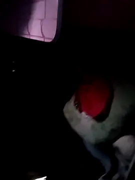 121fff online show from October 2025 09:40:01 AM