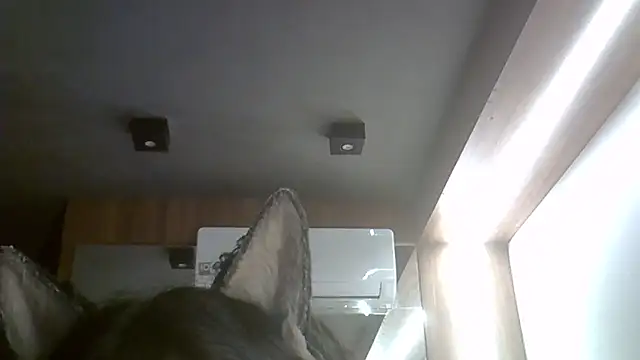 Skinny-Kitten online show from February 2026 02:19:01 AM