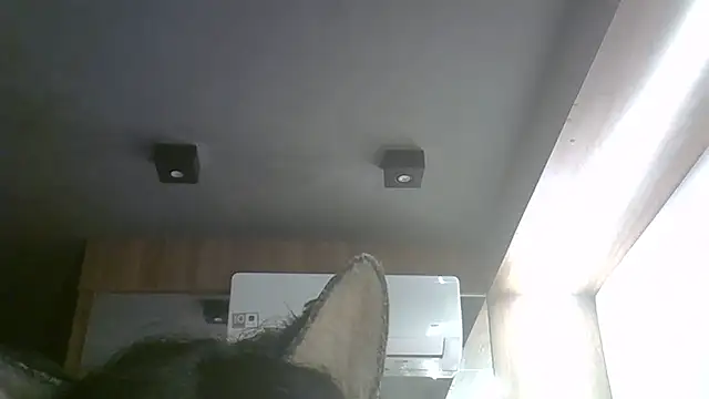 Snapshot of Skinny-Kitten chatting on May 2026 11:17:01 AM Skinny-Kitten online show from May 2026 11:17:01 AM