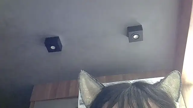 Snapshot of Skinny-Kitten chatting on May 2026 02:29:02 AM Skinny-Kitten online show from May 2026 02:29:02 AM