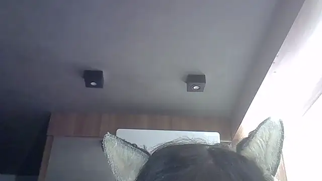 Snapshot of Skinny-Kitten chatting on May 2026 03:06:01 PM Skinny-Kitten online show from May 2026 03:06:01 PM