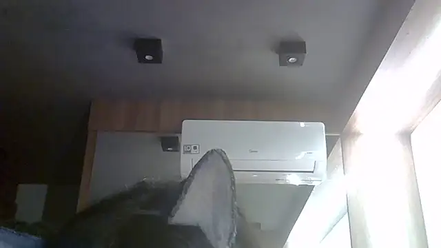 Snapshot of Skinny-Kitten chatting on May 2026 06:38:01 PM Skinny-Kitten online show from May 2026 06:38:01 PM