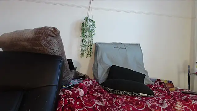 VANESSADDD online show from February 2025 08:05:02 PM