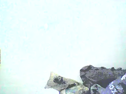 Stormward online show from January 2025 08:46:02 AM