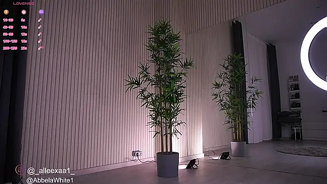 Abbela White online show from January 2025 06:39:01 AM