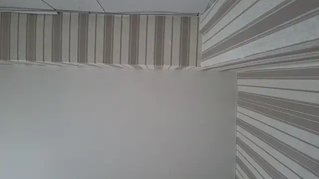 lily  foster online show from September 2025 05:42:01 AM