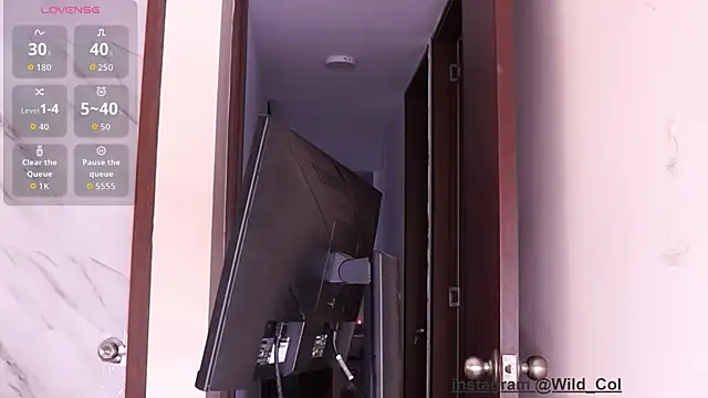 wild col  online show from September 2025 11:37:02 AM