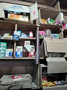 Evehampy online show from January 2025 09:57:02 PM