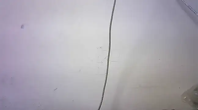 mrose8080 online show from March 2025 02:08:02 PM