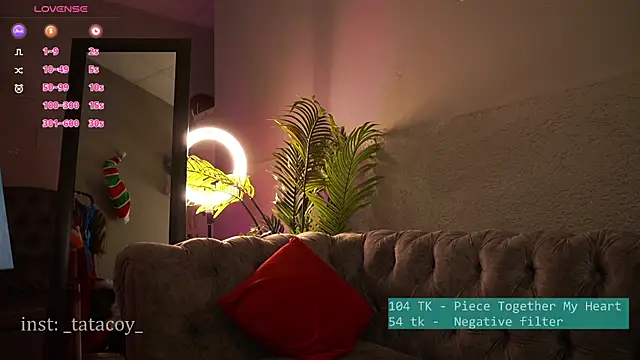 TataCoy online show from February 2025 06:33:01 AM