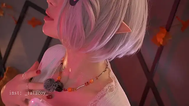 TataCoy online show from November 2025 05:23:02 PM