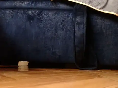 Snapshot of alphaswitchard chatting on February 2026 10:11:02 PM alphaswitchard online show from February 2026 10:11:02 PM