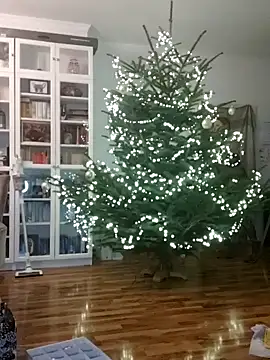 Snapshot of SexyDreamercouple89 chatting on December 2024 06:48:01 PM SexyDreamercouple89 online show from December 2024 06:48:01 PM