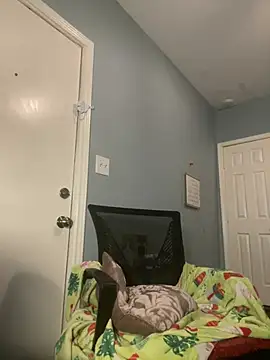 wishwashhy22 online show from January 2025 05:22:02 PM