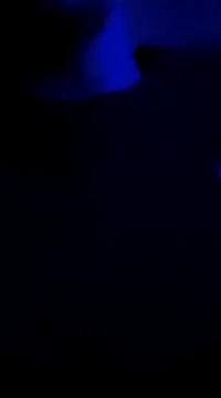 Snapshot of Midwestalpha chatting on January 2025 10:02:02 AM Midwestalpha online show from January 2025 10:02:02 AM