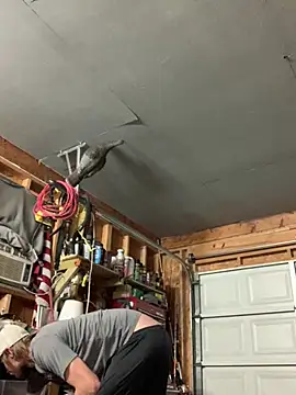 Midwestalpha online show from March 2026 07:36:02 AM