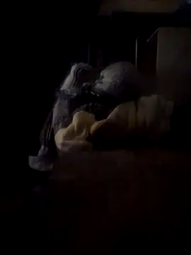 Daza67 online show from March 2026 06:25:01 PM