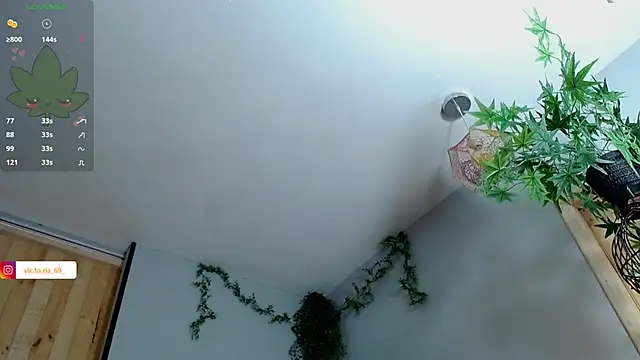 VickyJackson  online show from January 2025 05:04:02 PM