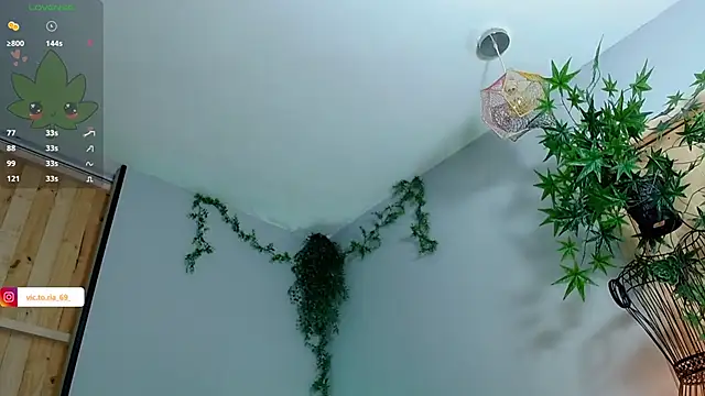 VickyJackson  online show from February 2025 08:26:02 PM