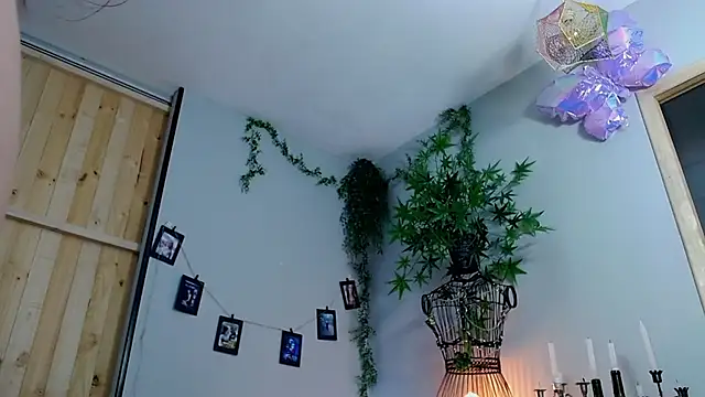 VickyJackson  online show from March 2025 12:29:02 AM