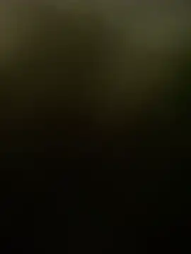 ft2022W online show from April 2026 11:57:01 PM