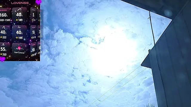 Miss Flexi fit online show from March 2025 08:40:01 AM