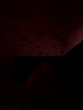 The wickles 4443 online show from November 2025 11:04:02 PM