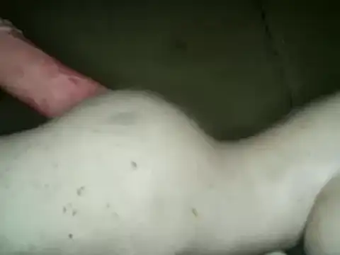 xxxlecram online show from March 2025 07:19:01 AM